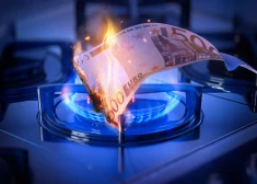 Депутат: мы слишком дорого платим за газовую инфраструктуру - пора готовить на электричестве