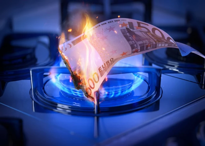 Депутат: мы слишком дорого платим за газовую инфраструктуру - пора готовить на электричестве