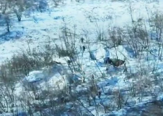 VIDEO: ukraiņu dronu vienība izglābj savus biedrus no gūsta, likvidējot viņus ielenkušos okupantus