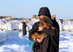 Во вторник сохранится солнечная и морозная погода