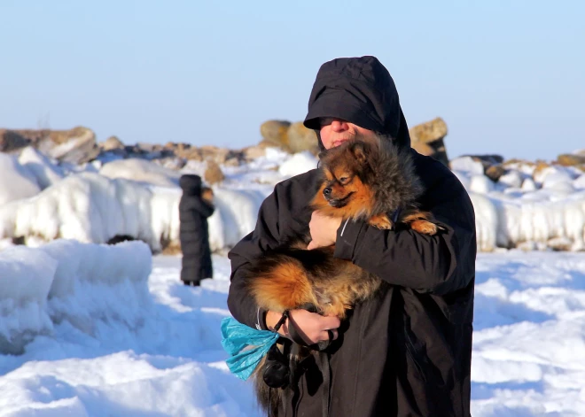 Во вторник сохранится солнечная и морозная погода