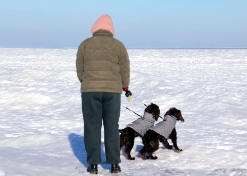 Жилищные пособия станут основным инструментом поддержки этой зимой.