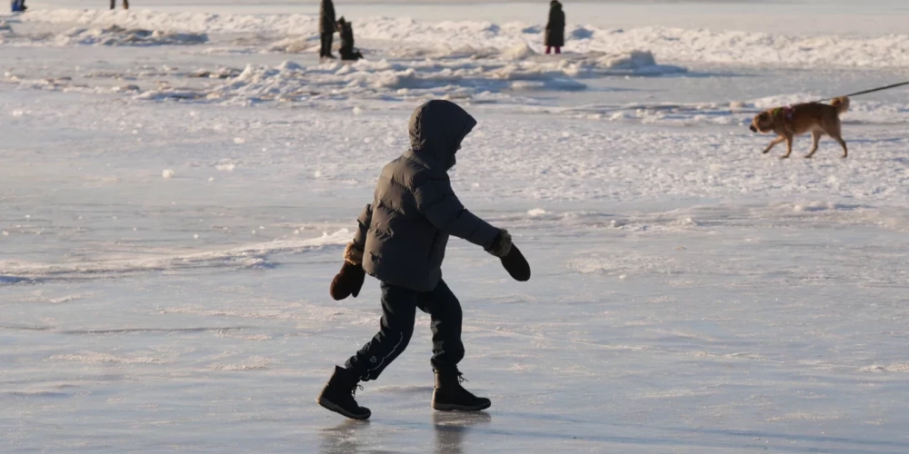 Иллюстративное фото.