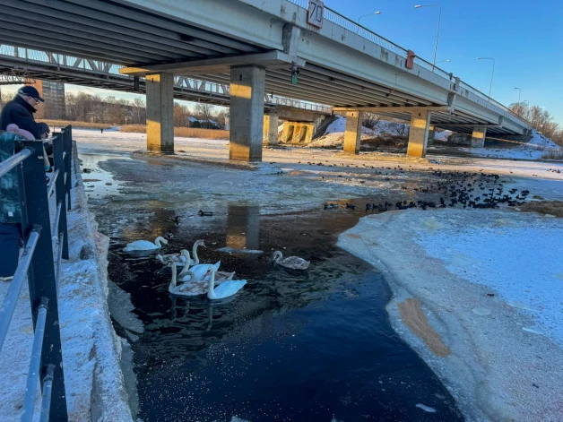Putniem atkal brīvi pieejams ūdens.