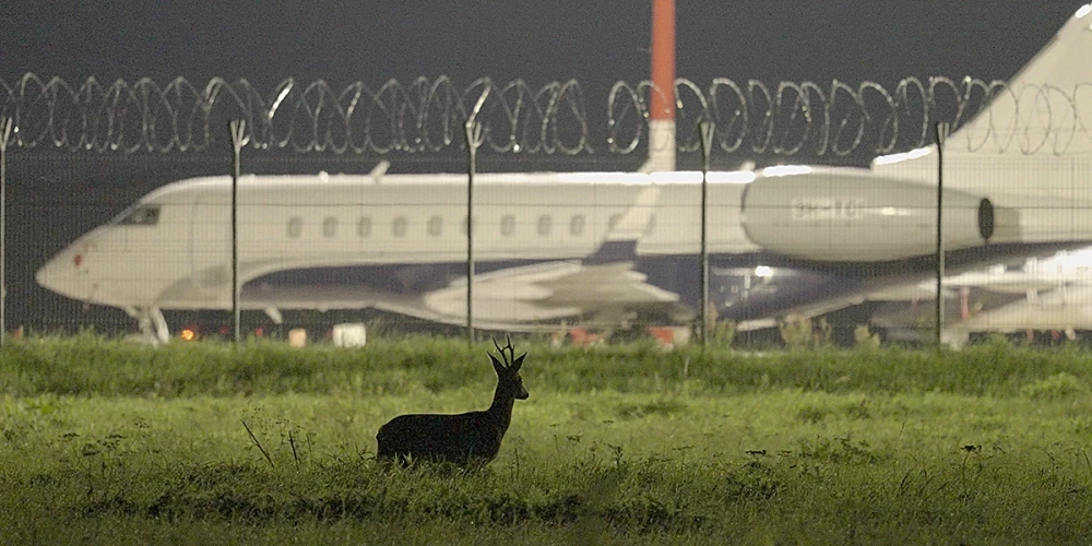 Lailas Pakalniņas filmas “Putnubiedēkļi” pirmizrāde notiks Nacionālajā kino balvā “Lielais Kristaps”.