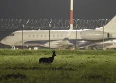 Ar Lailas Pakalniņas “Putnubiedēkļi” atklās “Lielā Kristapa” filmu skati