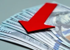 Падение доллара США: к чему готовиться бизнесу в странах Балтии