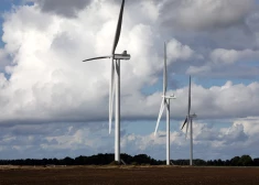 Латвия отстала от Литвы на 20 лет: проекты большинства ветропарков в Курземе не будут реализованы
