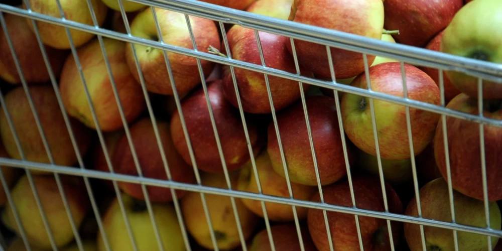 С яблочками стоит быть осторожнее, советуют экологи.