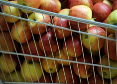 Анализ яблок, продаваемых в Европе, выявил пугающую картину