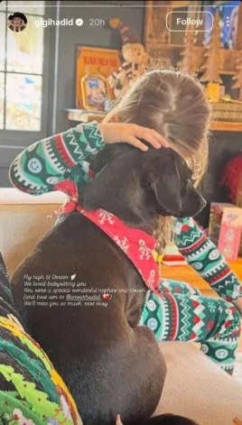 Džidži Hadidas meita Kaja ar Deksteru.