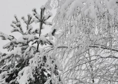 Sals Daugavpilī: termometra stabiņš noslīd līdz –28 grādiem