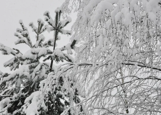 Sals Daugavpilī: termometra stabiņš noslīd līdz –28 grādiem