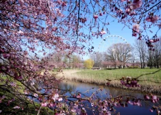 Синоптики назвали срок, когда температура в Латвии может вернуться к норме