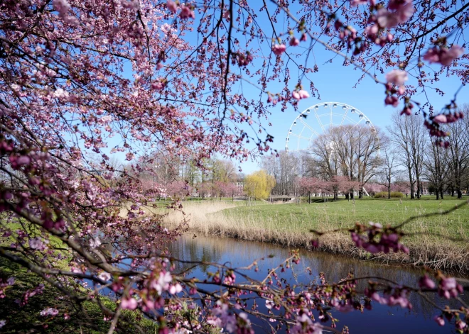 Синоптики назвали срок, когда температура в Латвии может вернуться к норме