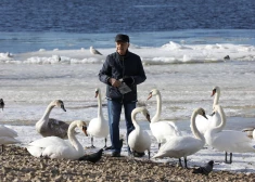 Zinātnieki brīdina: apdraudējums Baltijas jūrā strauji pieaug