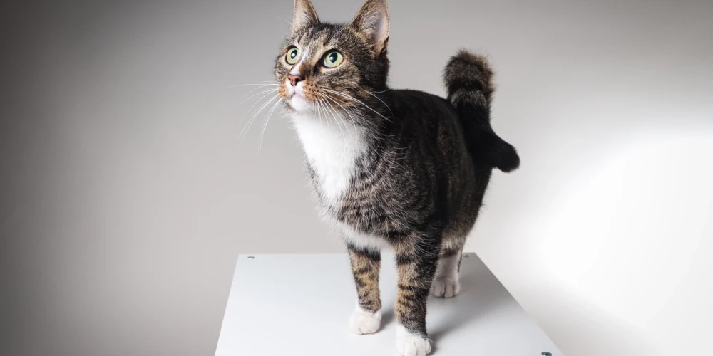 Estere ar kaķi Moho.