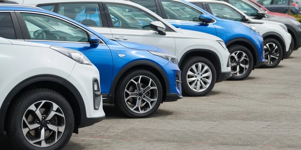 Экологическое мышление у нас приживается плохо.