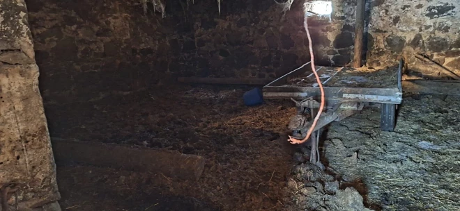 Полиция конфисковала 95 голов скота. 