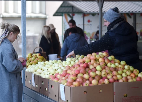 Izvēloties ābolus jāpievērš uzmanība ne tikai tam kur un kā tie audzēti, bet arī šķirnei.