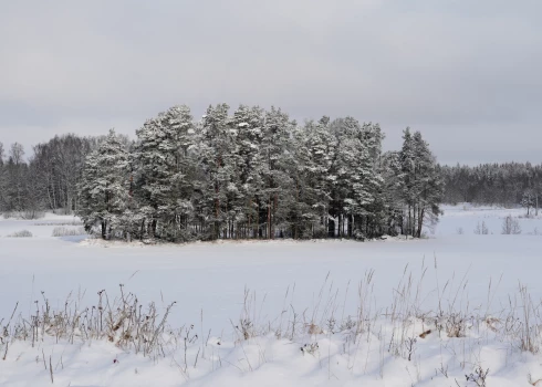 Иллюстративное фото.