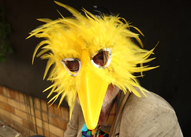 Talsu novada Jaunpagasta Torņa ielas iedzīvotājus satraukusi kāds dzeltenā maskā ieslēpies cilvēks, kurš cenšas ielauzties privātmājās (ilustratīvs foto).