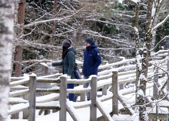 Valentīndienā Latvijā piedāvā neparastu alternatīvu restorānam