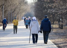 Сбор подписей за пенсионную реформу в Латвии близок к завершению