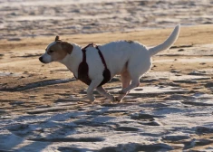 Пятница будет облачной и относительно теплой