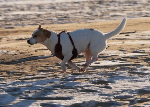 В пятницу будет относительно тепло.