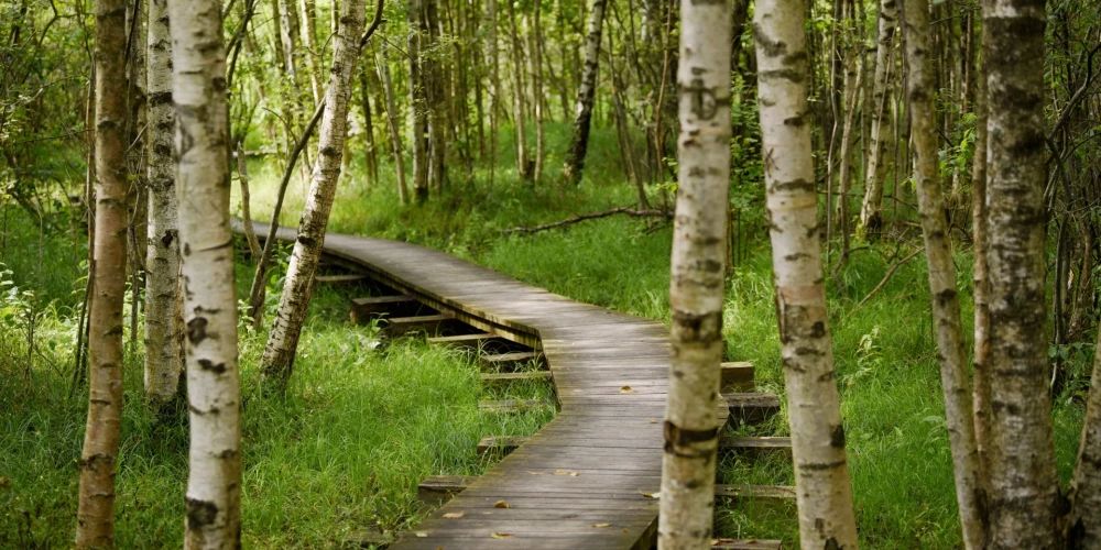 Īpaši aizsargājamās dabas teritorijas (ĪADT) Latvijā aizņem 18,64 % valsts teritorijas.