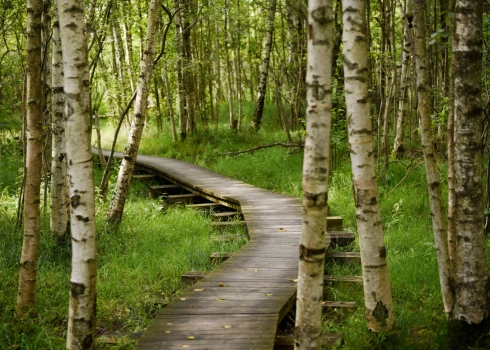 Īpaši aizsargājamās dabas teritorijas (ĪADT) Latvijā aizņem 18,64 % valsts teritorijas.