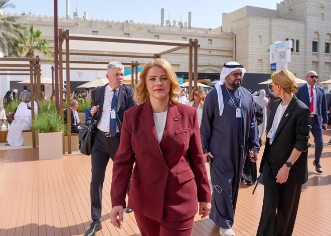 Шестая попытка сместить Силиню провалилась - голосование в парламенте не состоялось