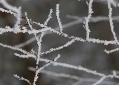 Tuvākajās naktīs atgriezīsies lielāks sals
