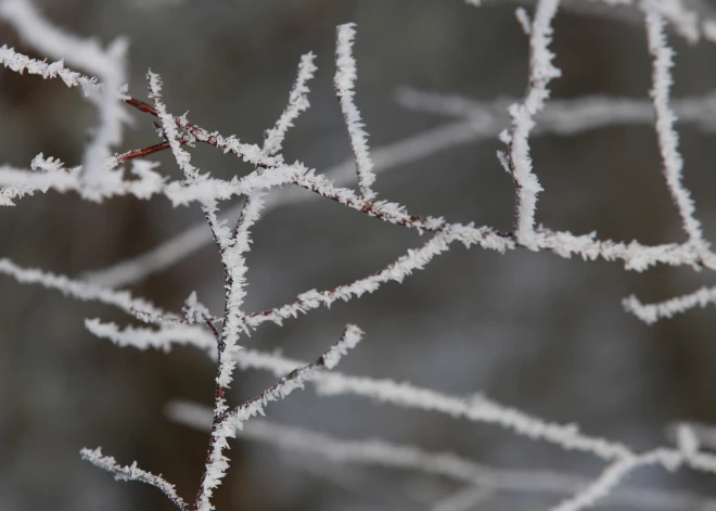Tuvākajās naktīs atgriezīsies lielāks sals
