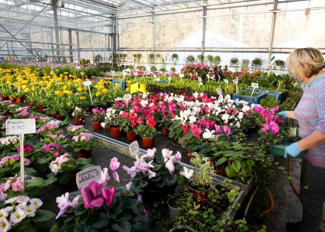 В пятницу сохранится пасмурная погода, в Риге потеплеет до -4 градусов