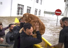 Vētra "Leonardo" Portugālē izraisījusi nāvējošus plūdus. Miris vīrietis, bezvēsts pazudusi meitene. FOTO, VIDEO