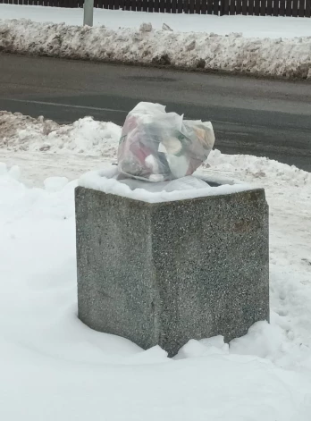 Bauskas novada Iecavas apvienības pārvalde sadrūvējusies uz pilsētniekiem, kuri savus mājsaimniecībā sakrātos gružus izmet mazajās atkritumu urnās.