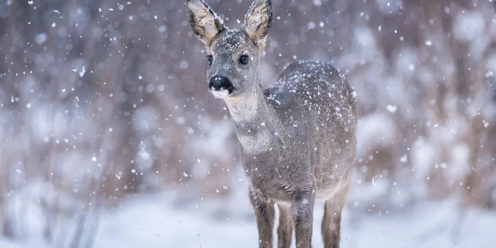 Иллюстративное фото.