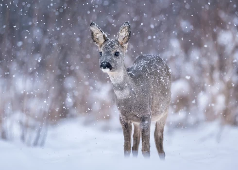 Иллюстративное фото.