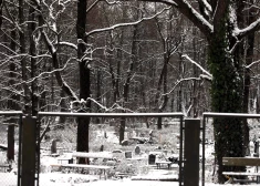 Rīgas dome iecerējusi virkni izmaiņu galvaspilsētas kapsētās