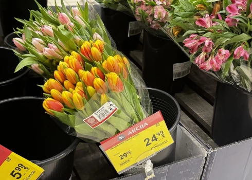 Покупатели в Риге не ожидали такого от тюльпанов!