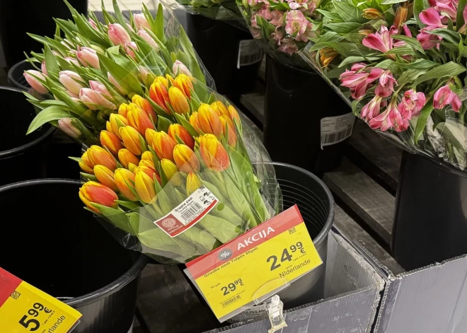 "Я сначала подумала, что это цена за весь ящик": рижан ошеломили ценники на тюльпаны