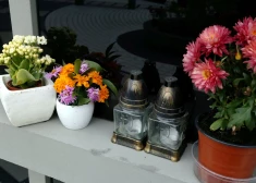 Urnu novietošanai arvien lielāks pieprasījums: Meža kapos plāno veidot jaunu piemiņas kompleksu