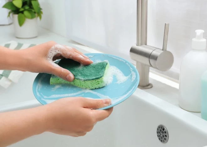 Цвет губки для мытья посуды имеет значение: как выбрать правильную