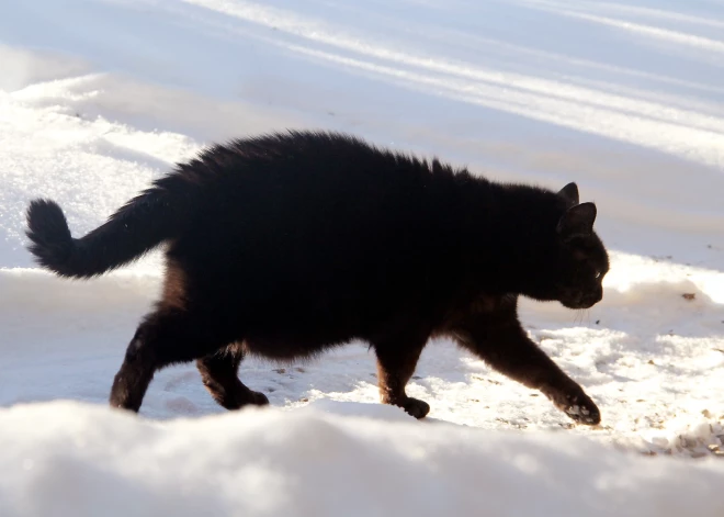 Svētdiena Latvijā gaidāma ziemīga un lielākoties saulaina