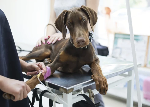 Иллюстративное фото.