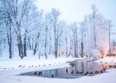 Svētdien Latvijā gaidāms pārsvarā saulains laiks