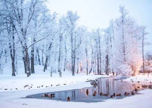 Иллюстративное фото.