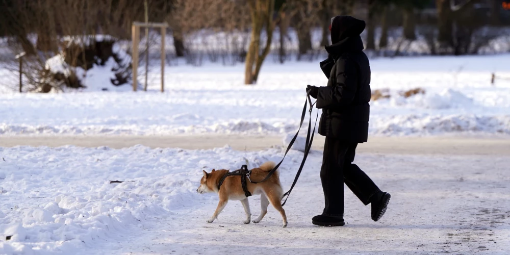 Jūrmala un Jelgava vienīgās no piecām lielākajām pilsētām ar iedzīvotāju pieaugumu.